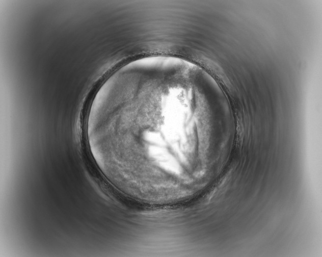 X0000095690674200802051313