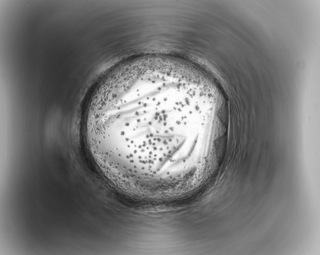 X0000095690675200802051313