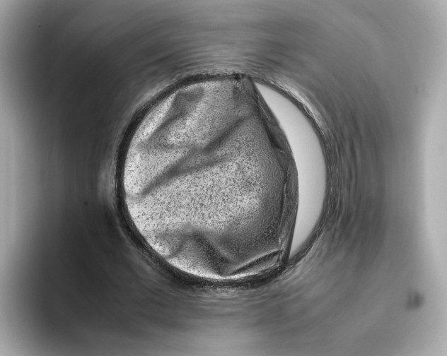 X0000095690677200802051313
