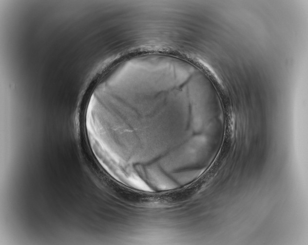 X0000095690678200802051313