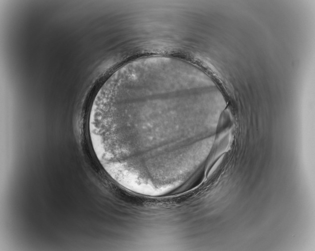 X0000095690679200802051313