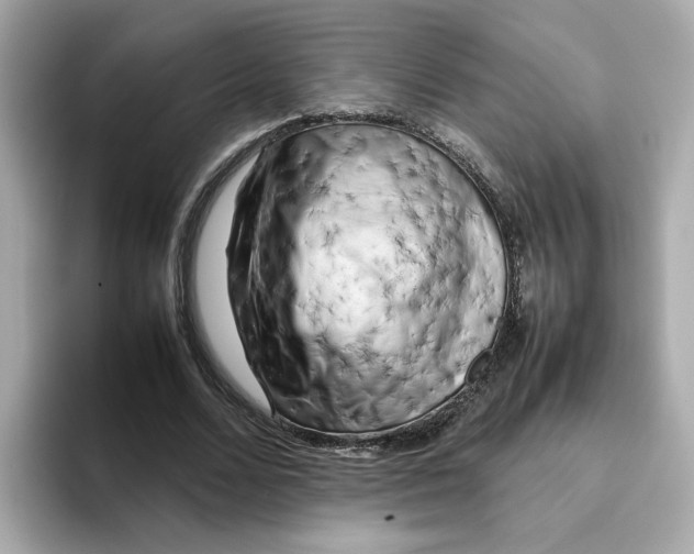 X0000095690680200802051313