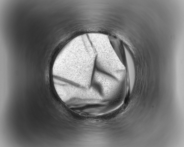 X0000095690681200802051313