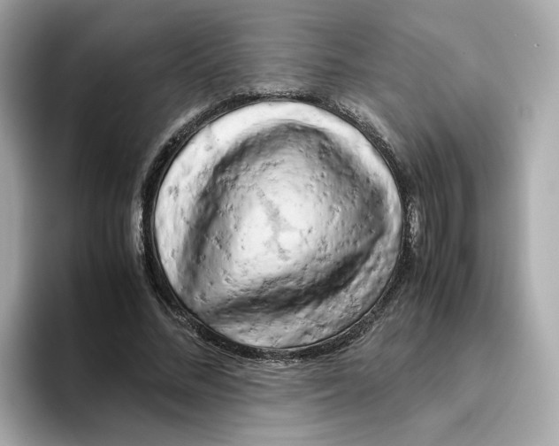 X0000095690684200802051313