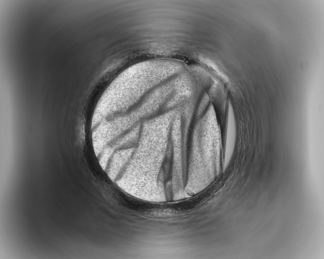 X0000095690685200802051313