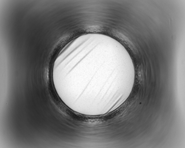 X0000095690686200802051313