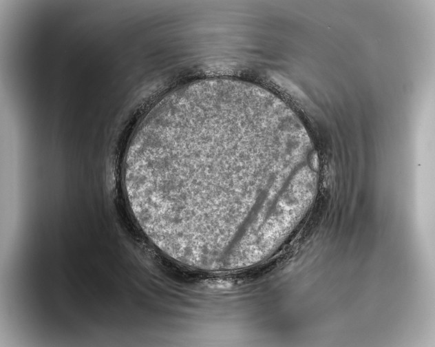 X0000095690687200802051313