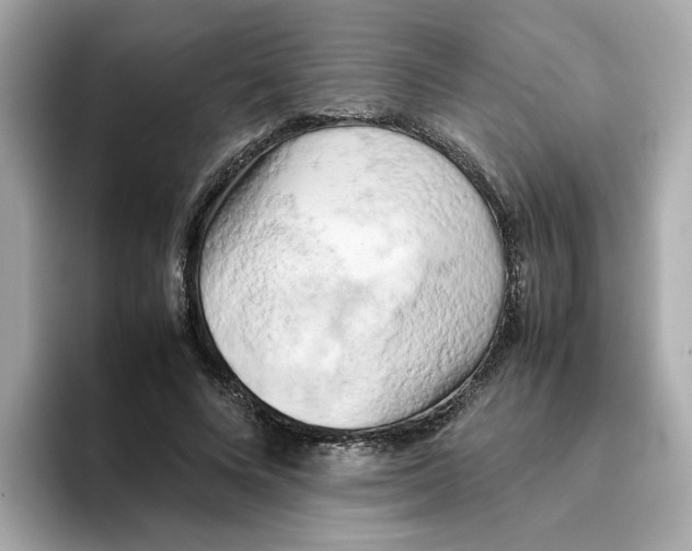 X0000095690688200802051313