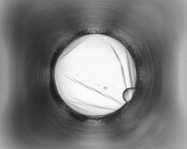 X0000095690690200802051313