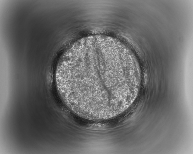 X0000095690691200802051313