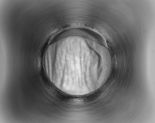 X0000095690692200802051313