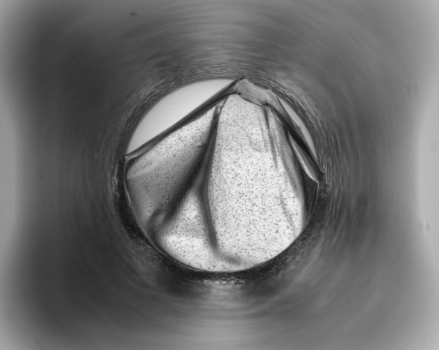X0000095690693200802051313