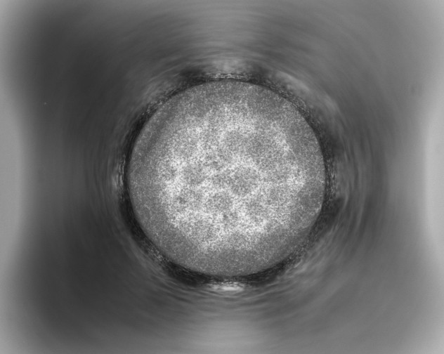 X0000095690695200802051313