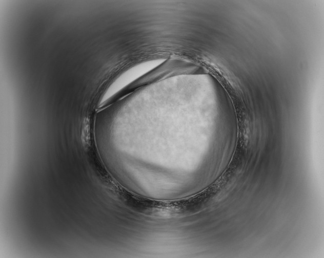 X0000095690696200802051313