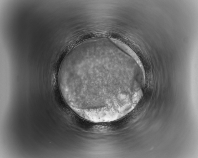 X0000095690699200802051313