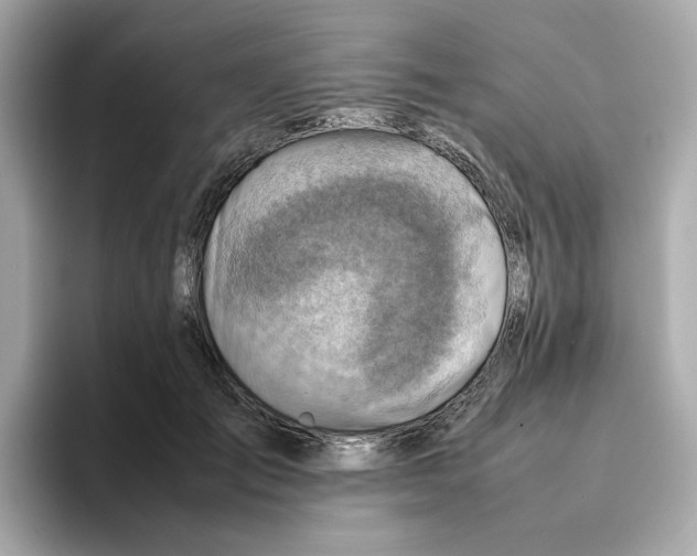 X0000095690701200802051313