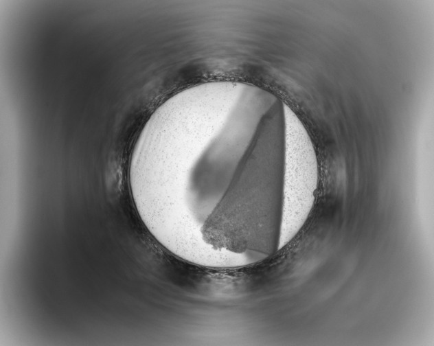 X0000095690703200802051313