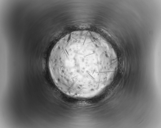 X0000095690704200802051313