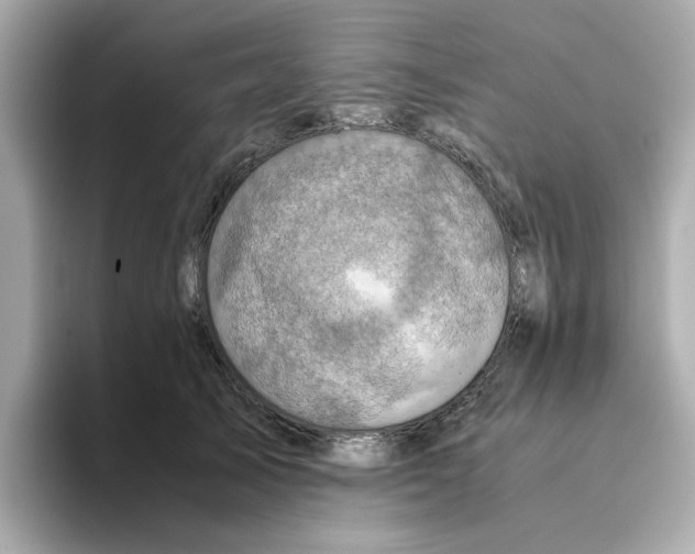 X0000095690705200802051313