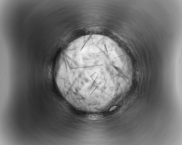 X0000095690708200802051313