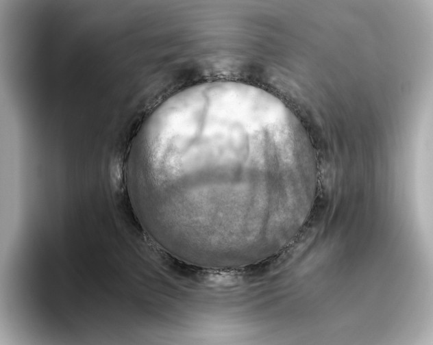 X0000095690709200802051313
