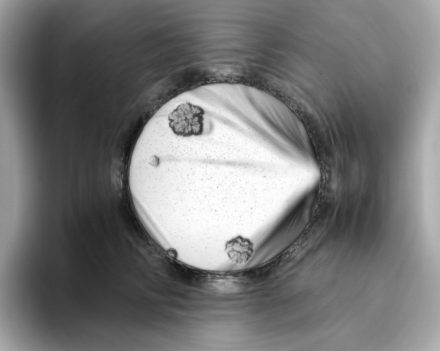 X0000095690710200802051313