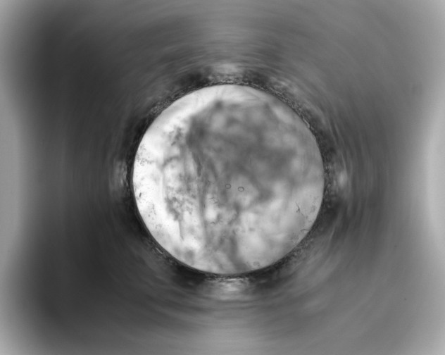 X0000095690711200802051313