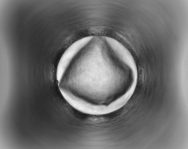 X0000095690712200802051313