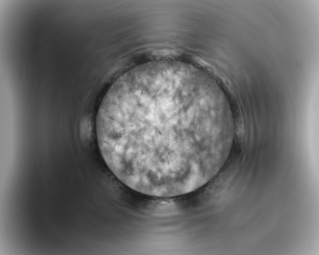 X0000095690715200802051313