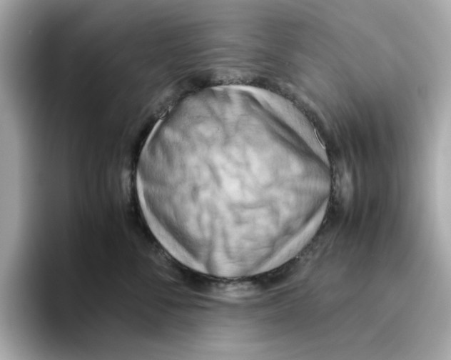 X0000095690716200802051313
