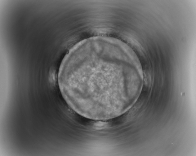X0000095690718200802051313
