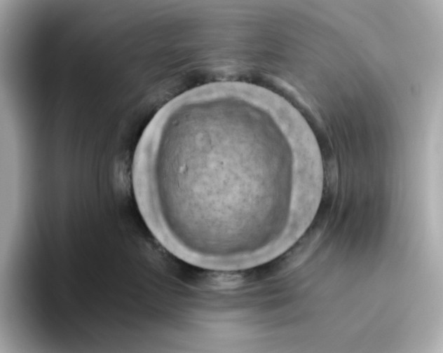 X0000095690719200802051313