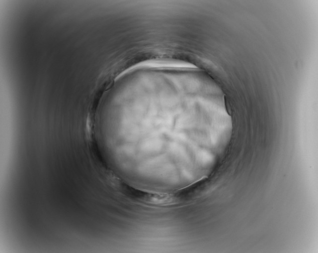 X0000095690720200802051313
