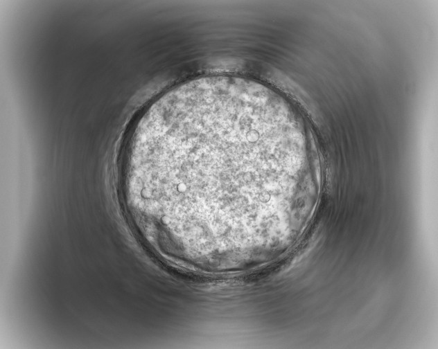 X0000095690721200802051312