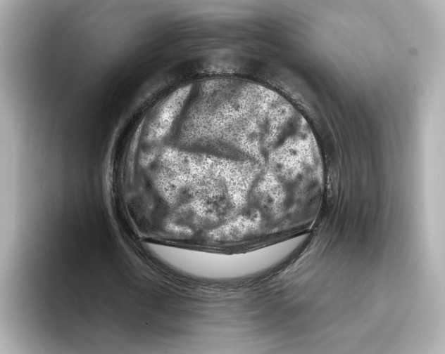 X0000095690722200802051312