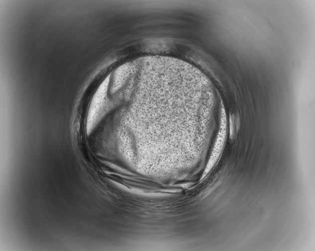 X0000095690723200802051312