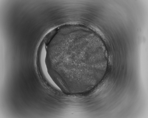 X0000095690724200802051312