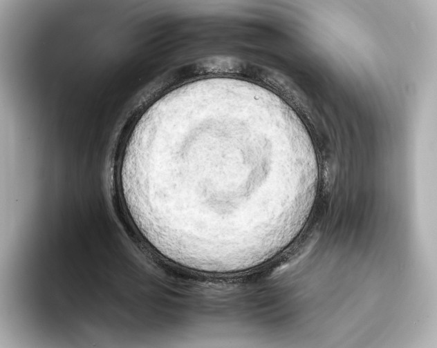 X0000095690725200802051312