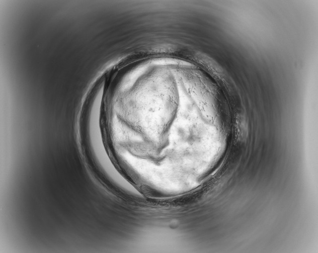 X0000095690726200802051312