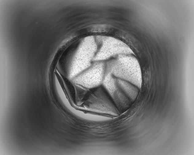 X0000095690727200802051312
