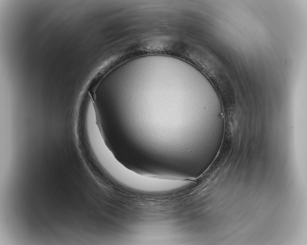 X0000095690728200802051312