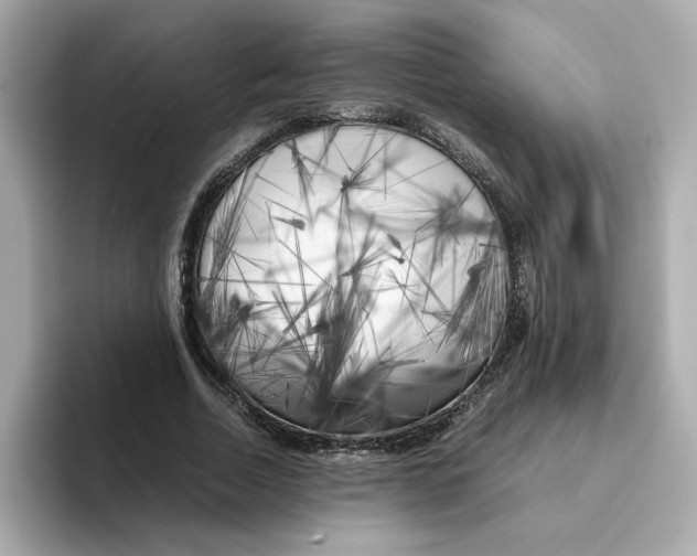 X0000095690730200802051312
