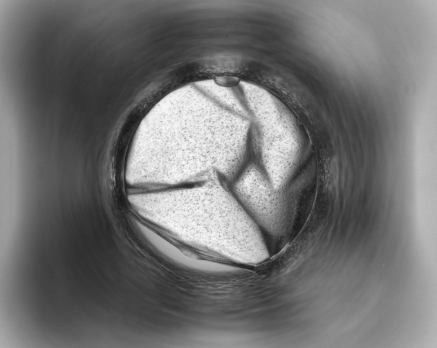 X0000095690731200802051312