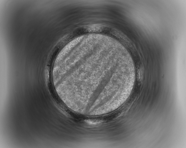 X0000095690733200802051312