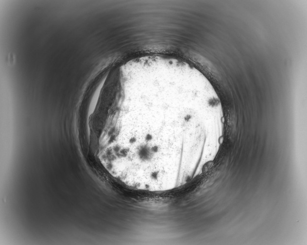 X0000095690734200802051312