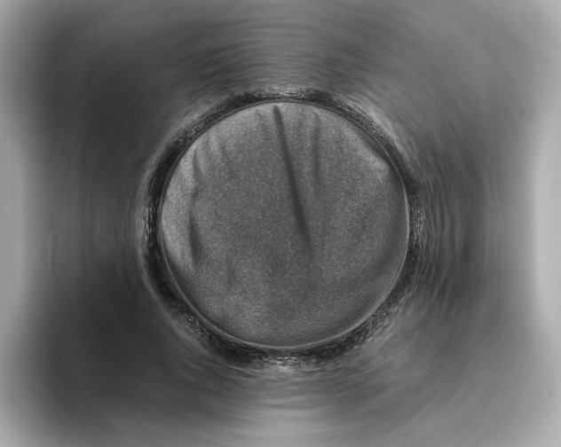 X0000095690736200802051312