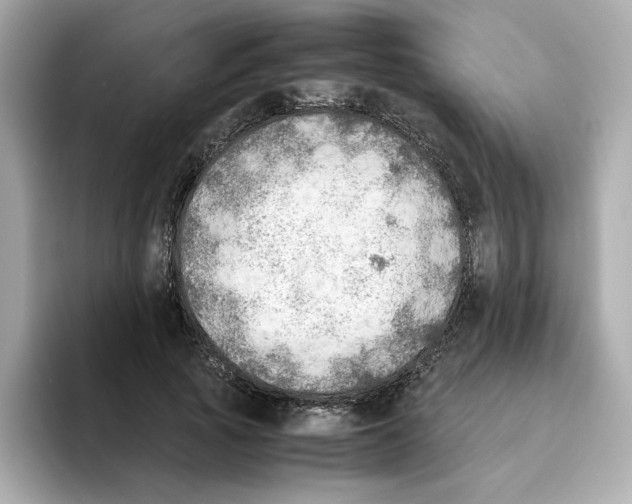 X0000095690737200802051312