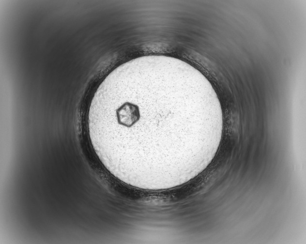 X0000095690738200802051312