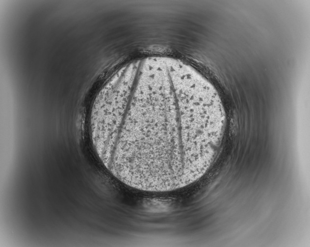 X0000095690739200802051312