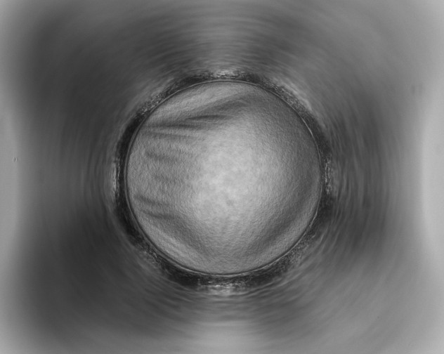 X0000095690740200802051312